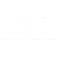 WSI Logo